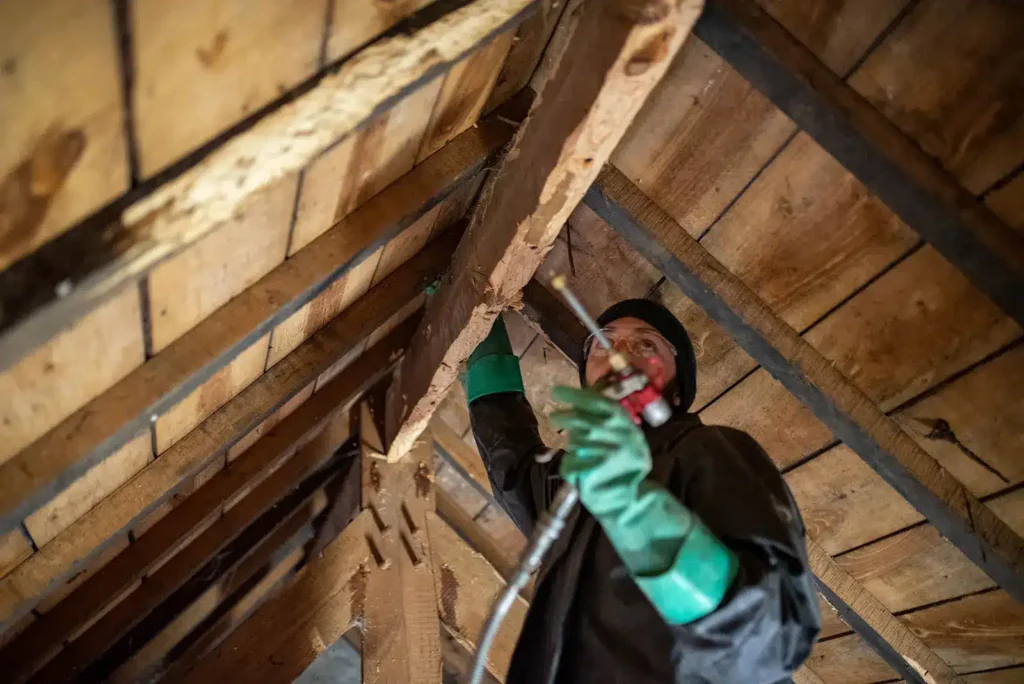 Traitement préventif des bois neufs