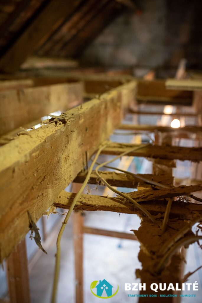 Charpente affaiblie ou fragilisée